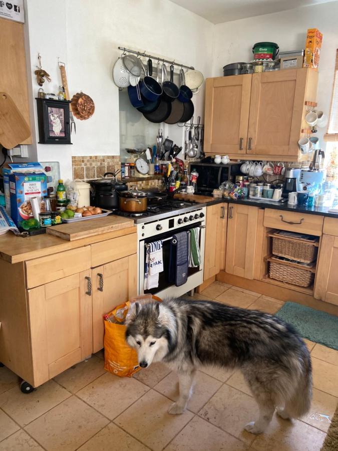 Comfy Cosy Little Room Tv Fridge Microwave Upton  Exterior foto